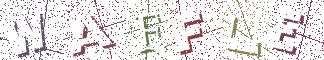 Type the Shadowed Word