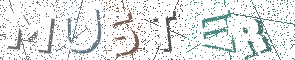 Type the Shadowed Word