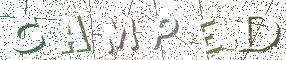 Type the Shadowed Word