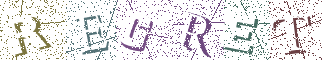 Type the Shadowed Word